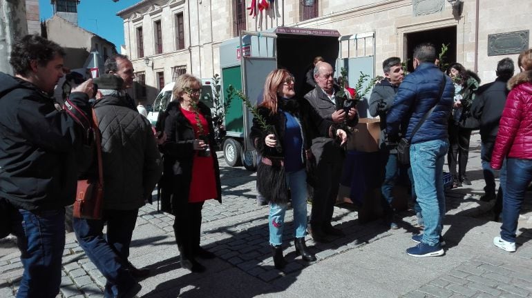 Reparto de plantones en la Plaza de Viriato de la Capital con motivo del Día Mundial del Árbol