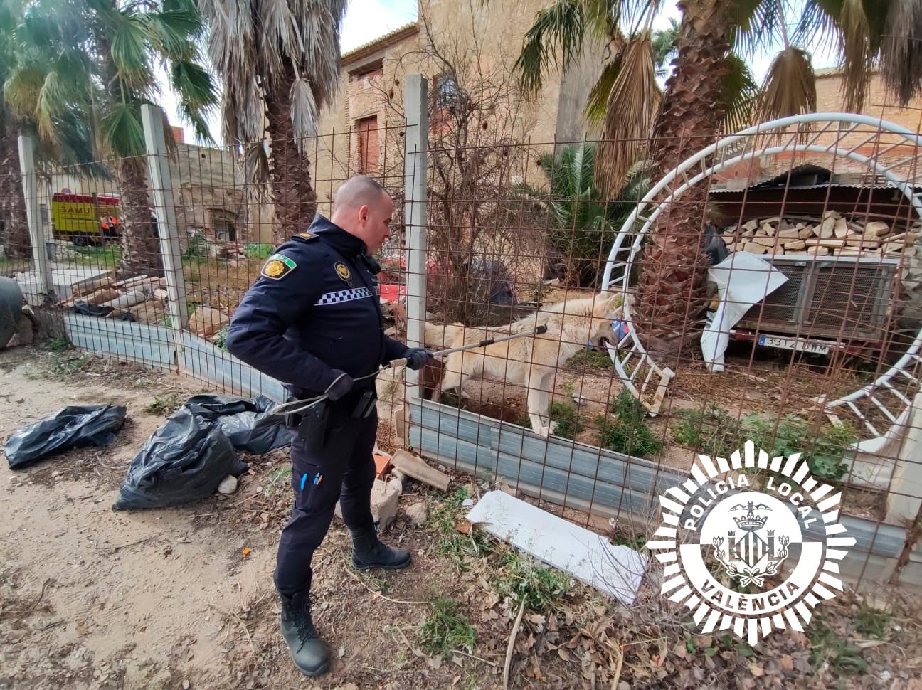 Un agente de la Policía Local de València tras capturar al perro lobo que atacó a un hombre en el Camino de Moncada.