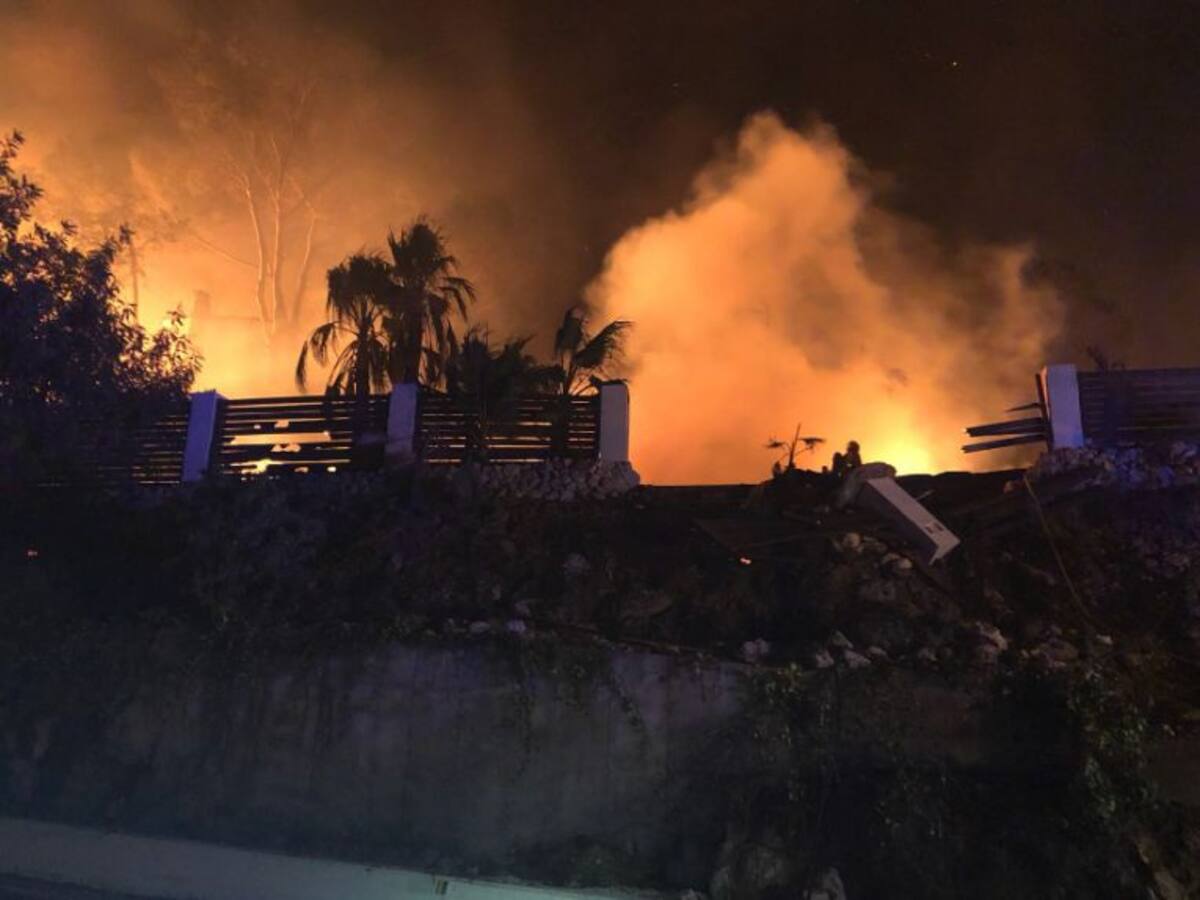 "Cogí el bolso, me vestí y me bajé corriendo dejándome allí a los animales"