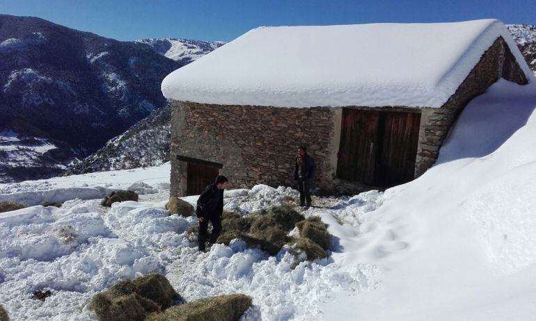Les Valls d'Aguilar, dimecres, 7 de febrer