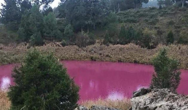 Lagunillo de Las Tortugas de color de rosa, como se presenta estos días de otoño.