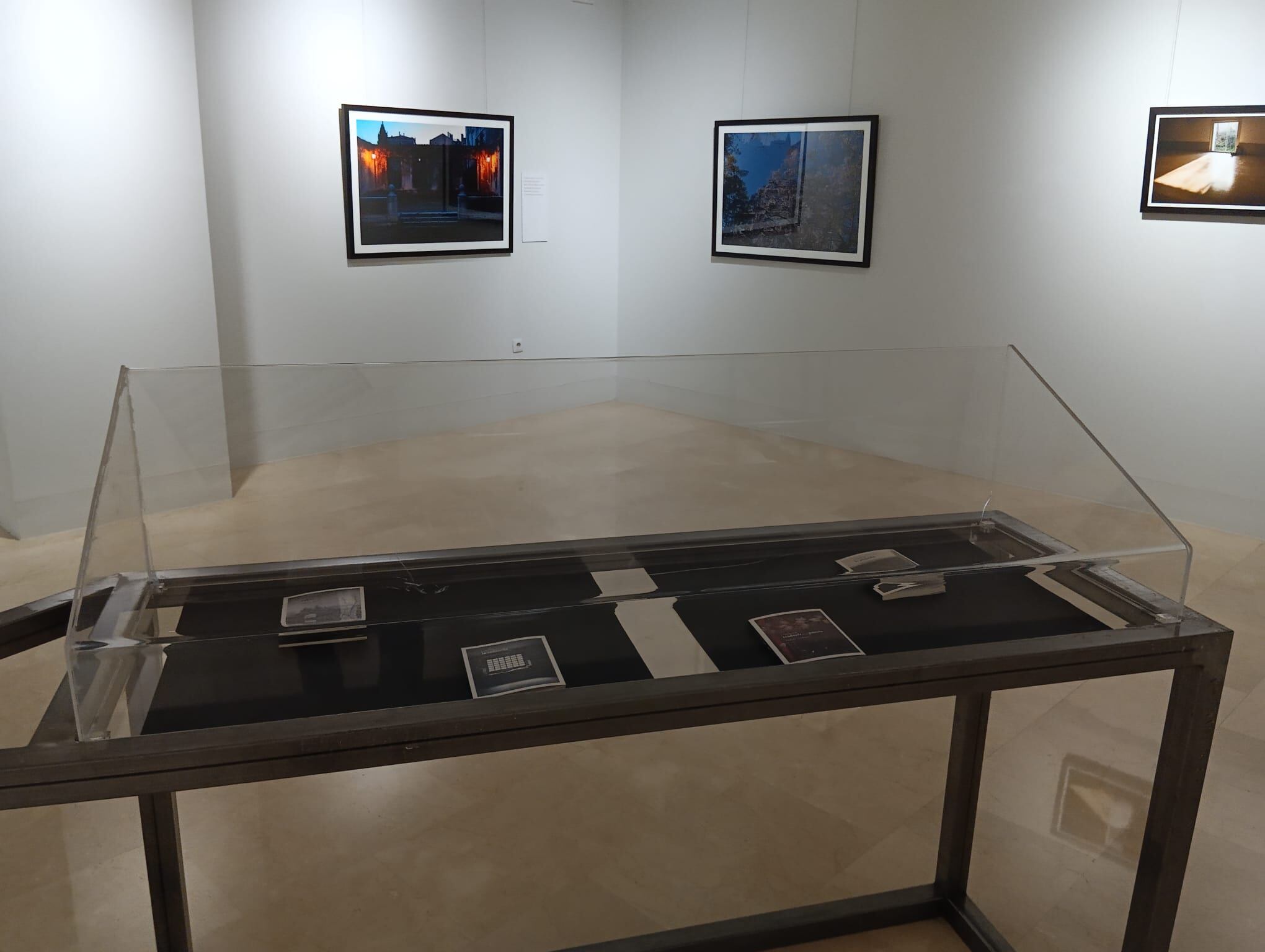 Detalle de la exposición