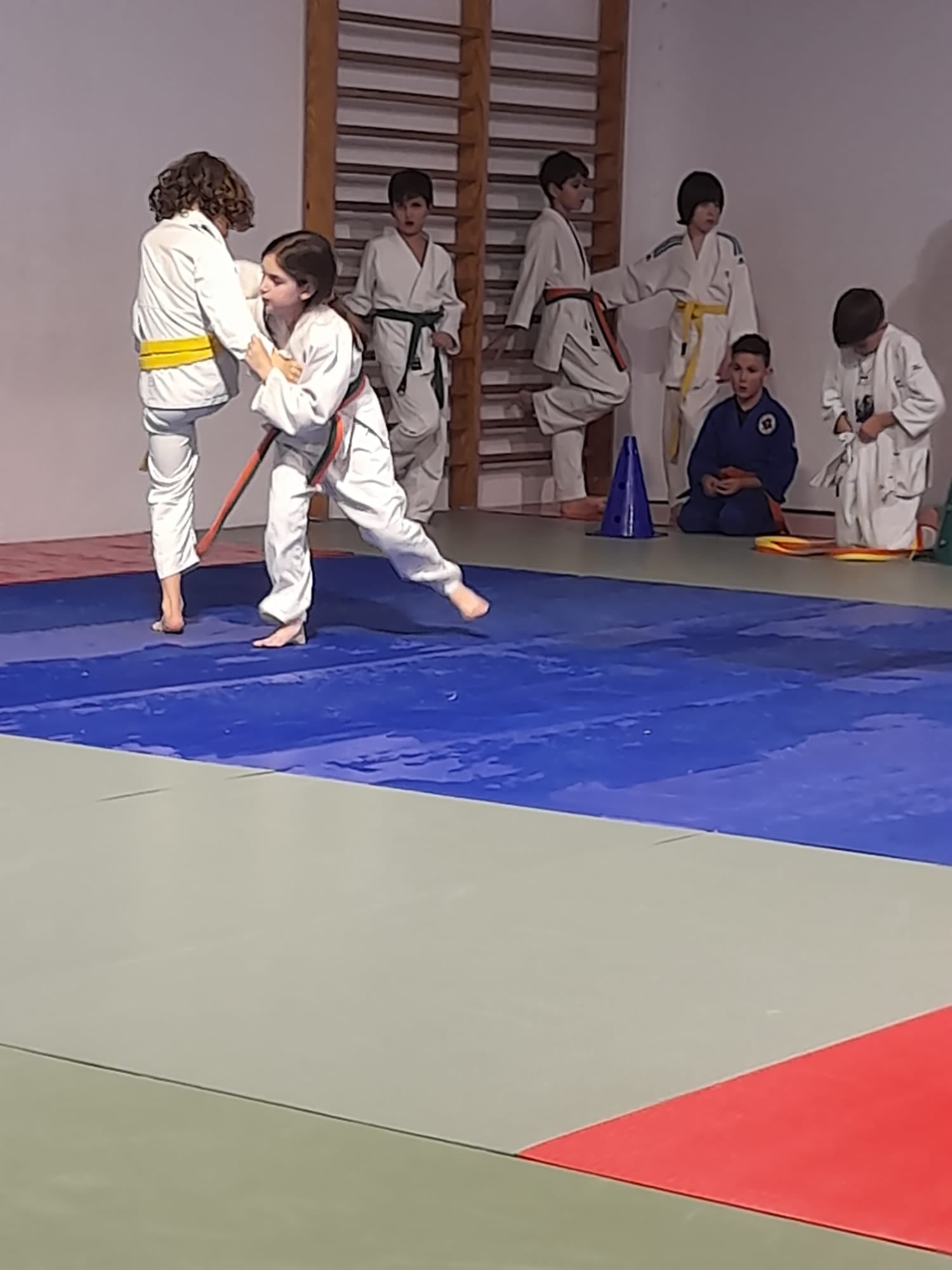 Judo CAMV