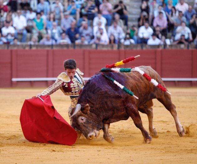 Alfonso Cadaval durante una de sus actuaciones en la Real Maestranza de Sevilla