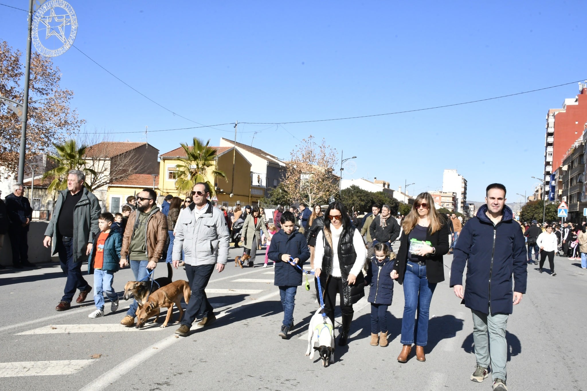 Desfile de San Antón. Villena