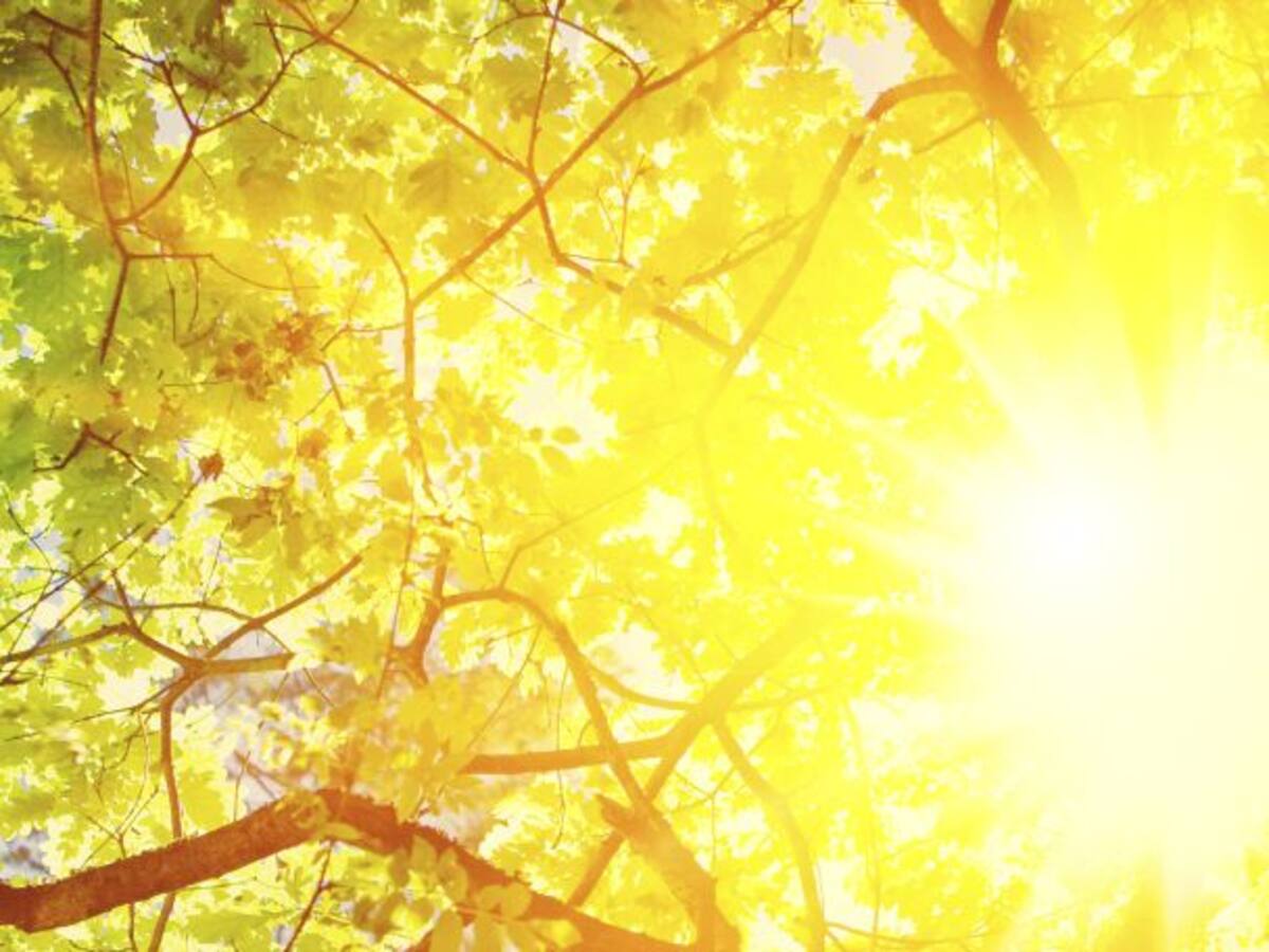 Descubre cómo hará esta Semana Santa