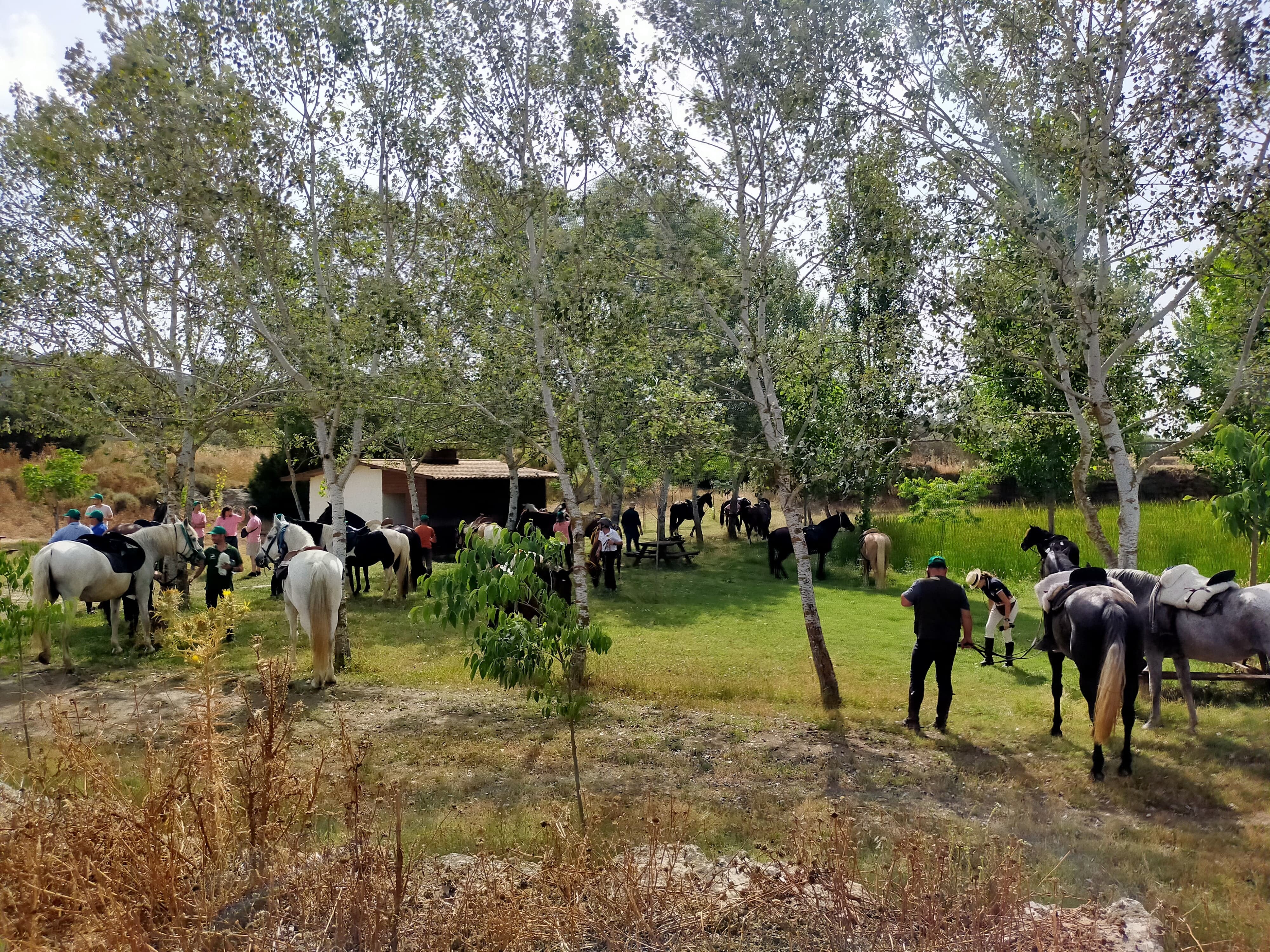 40 jinetes participaron en el encuentro ecuestre