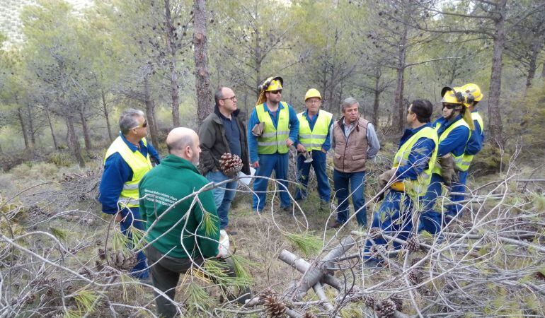 Momento de la visita del delegado de Medio Ambiente a los trabajos que se realizan en Jimena