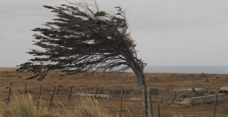 Persiste la alerta por fuertes rachas de viento en Albacete