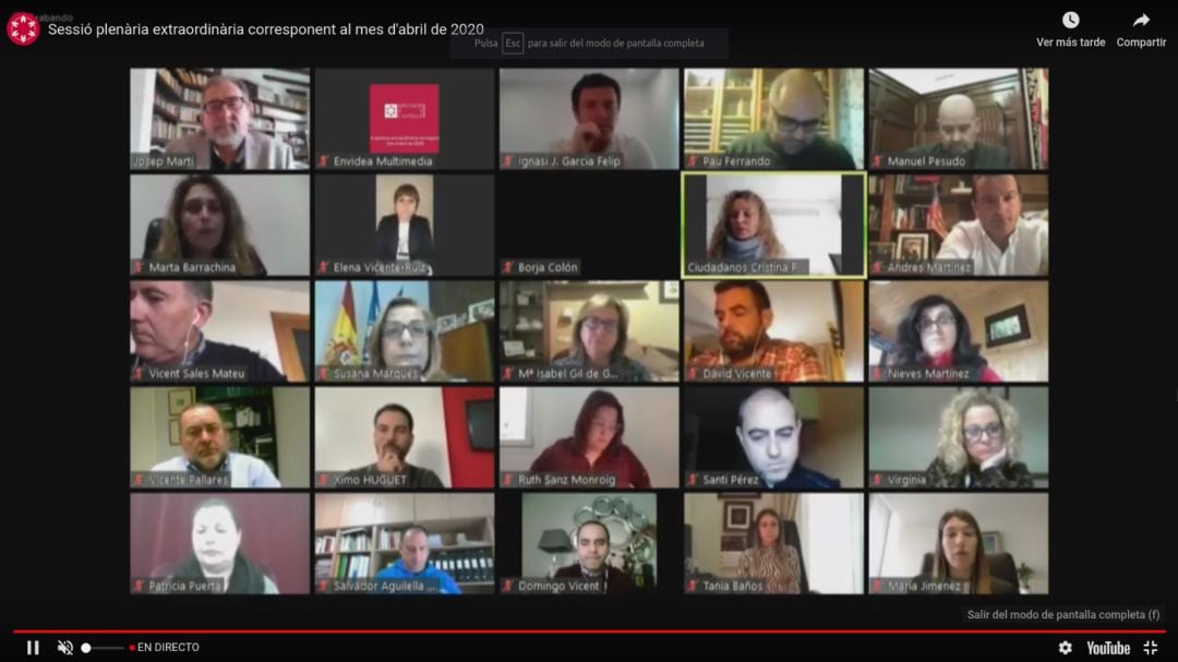 Imagen del pleno telemático de la Diputación