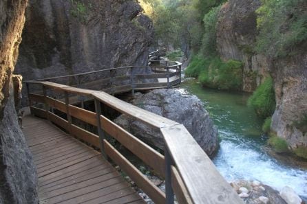 Sendero del río Borosa