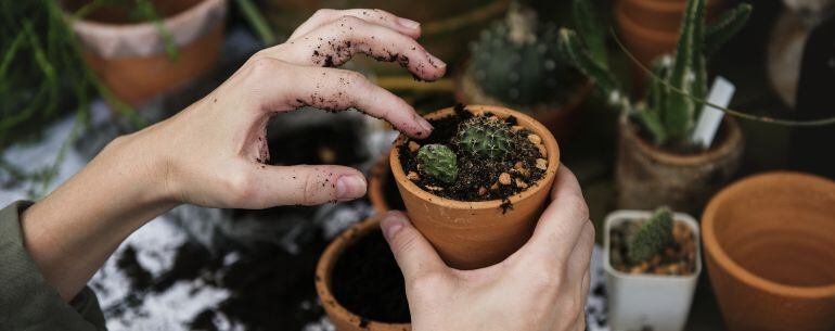 Aficionada a la jardinería