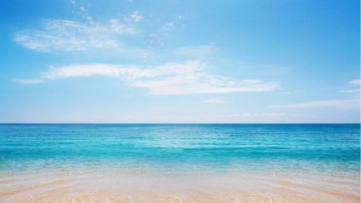 “Gotas de tintura”