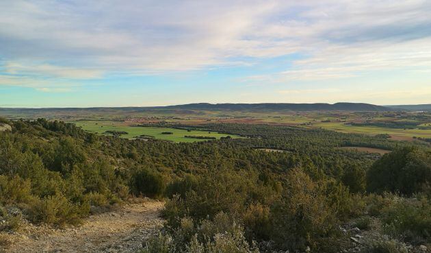 Paisaje desde el cerro del Telégrafo.