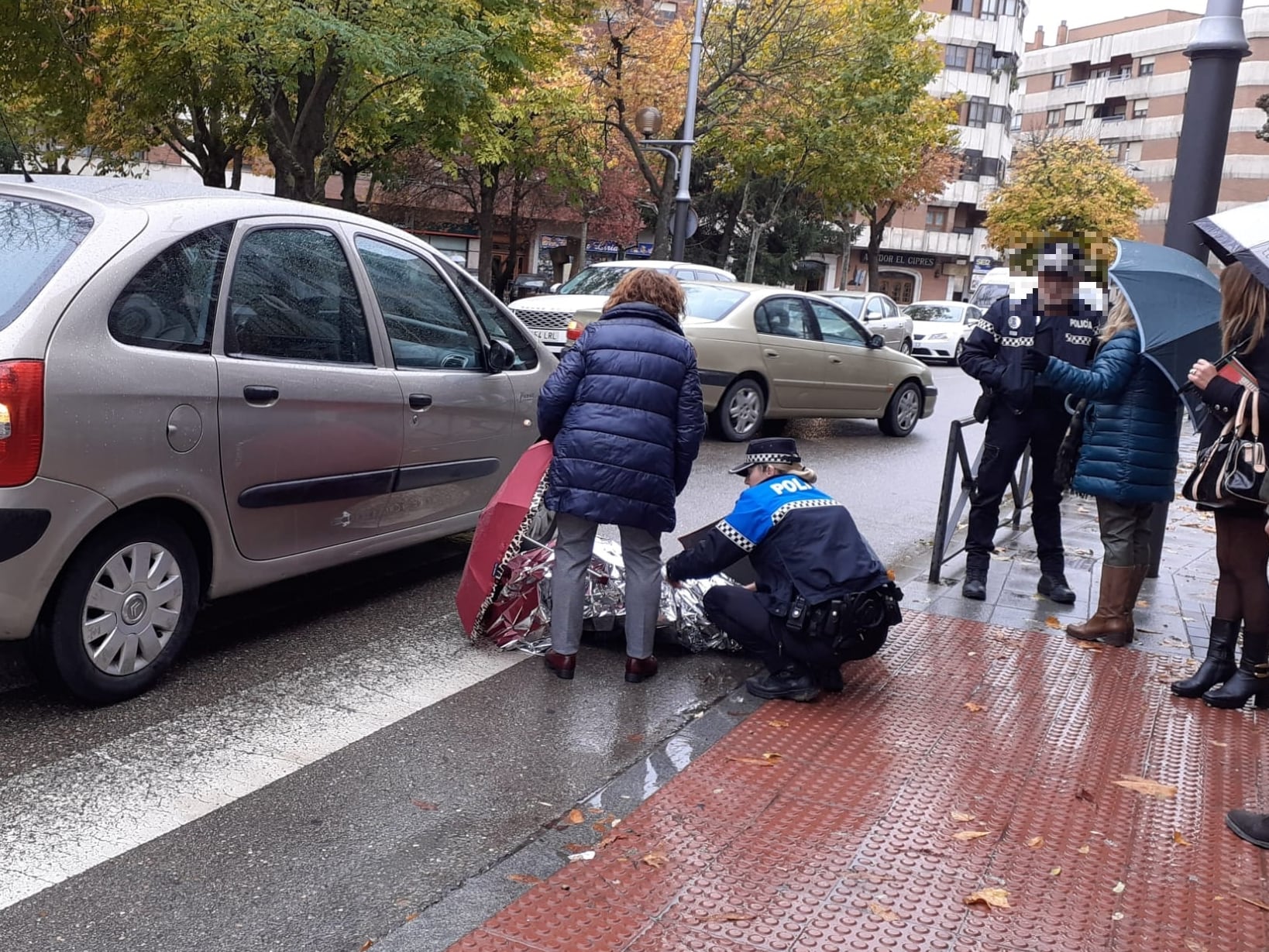 Atropello en los Jardines