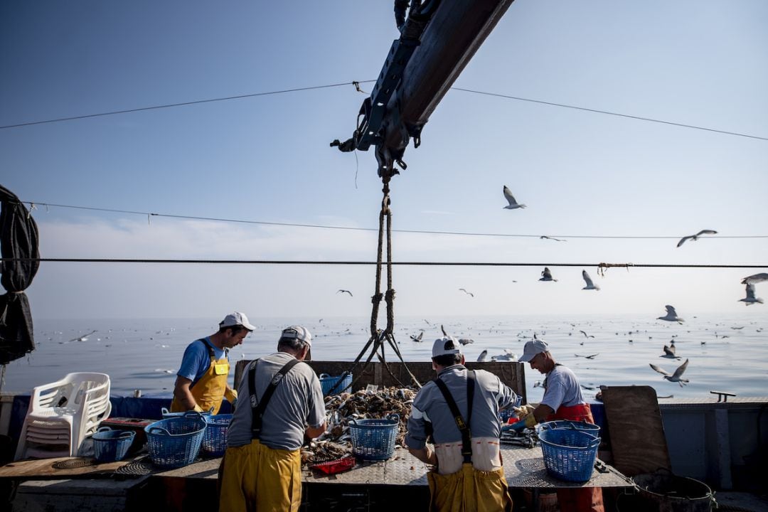 Una de las barcas de pesca del Grau de Gandia 