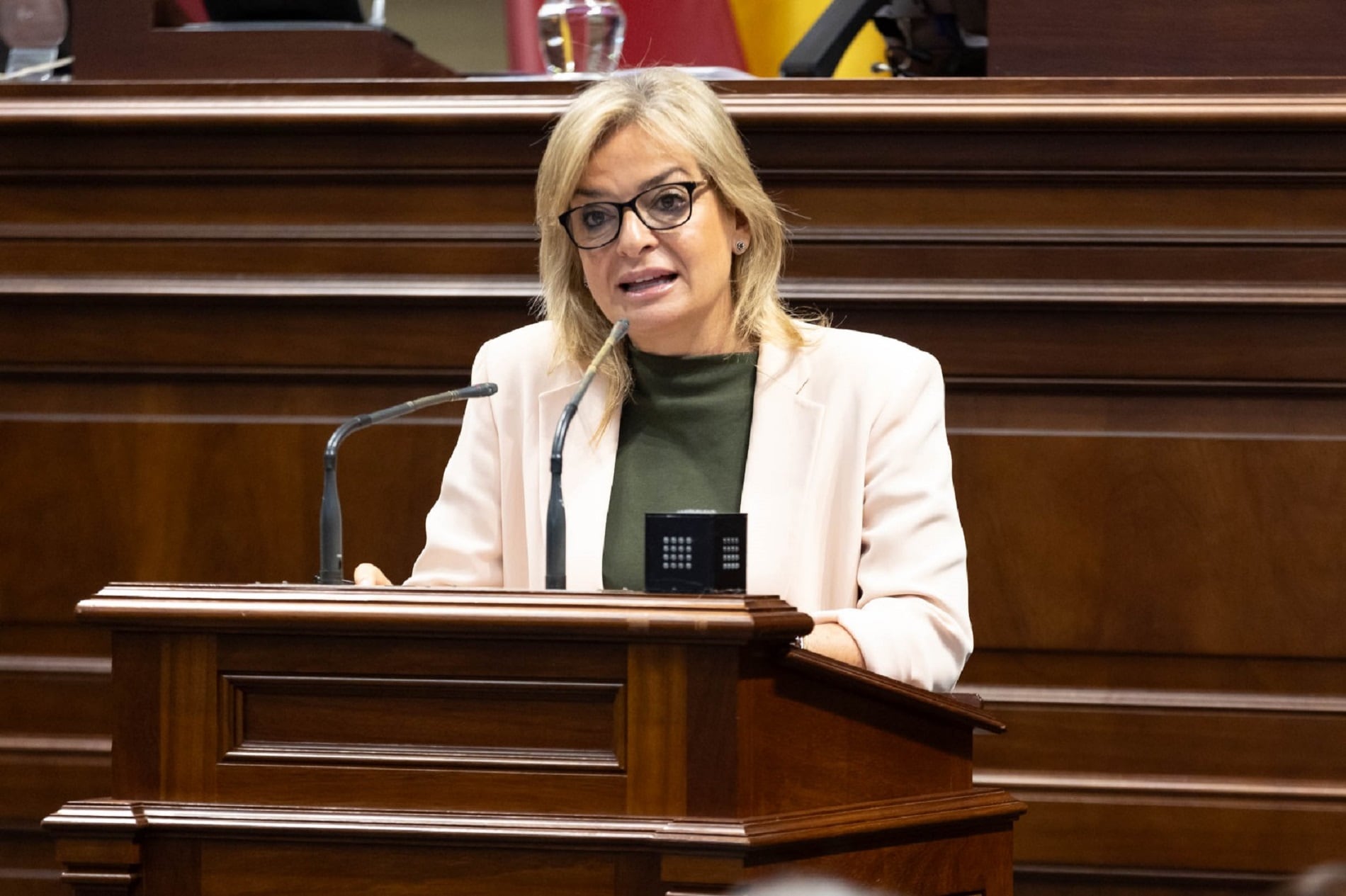 Esther Monzón, consejera de Sanidad del Gobierno de Canarias