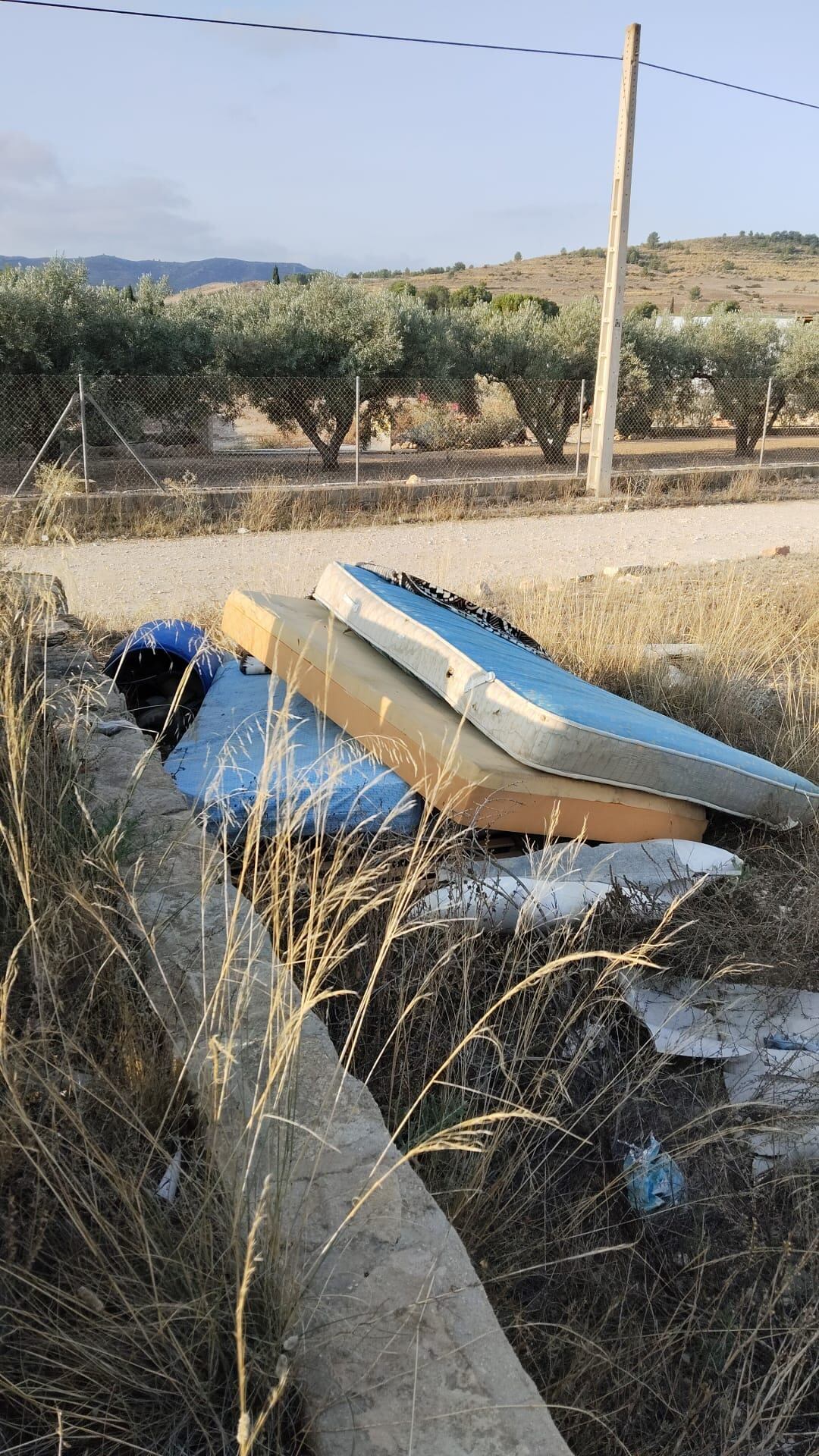 Mal uso de los contenedores en Caudete