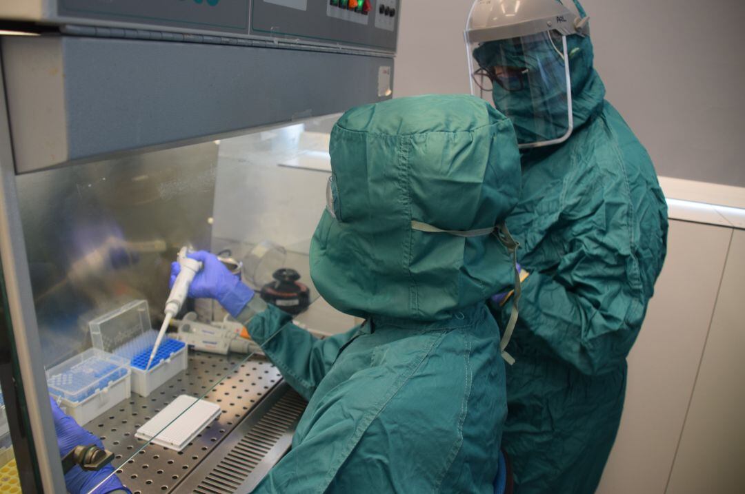 Investigadores del centro Príncipe Felipe trabajan en el desarrollo de estos test de coronavirus a través de muestras de saliva. 