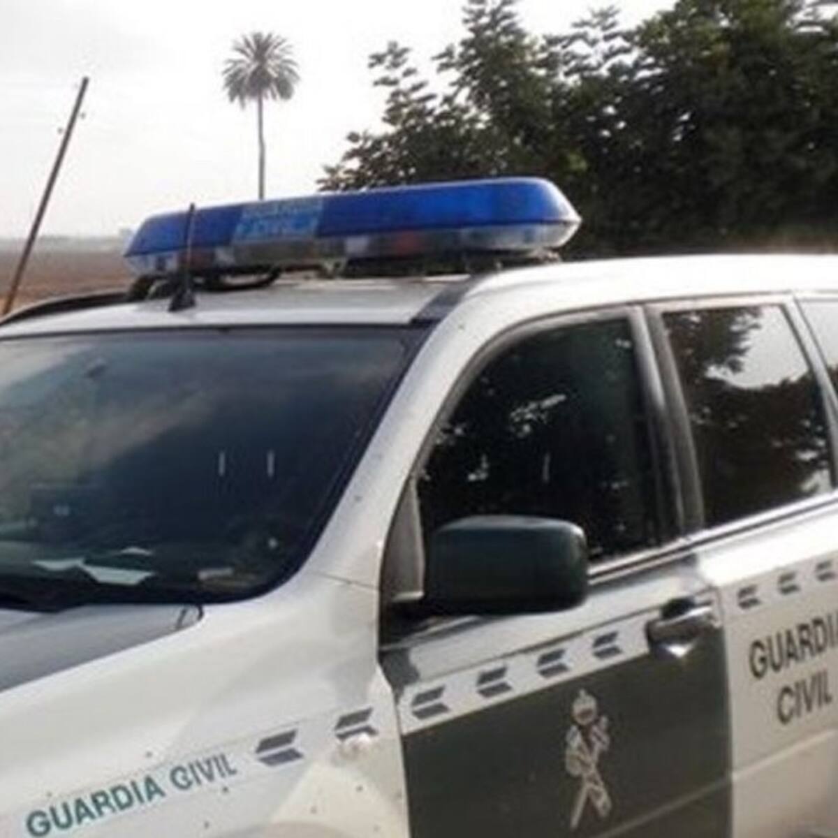 Doce horas de trabajo en el campo, comida con el ganado y 20 euros al día