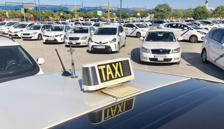 Los taxistas de Málaga se han reunido en asamblea este domingo