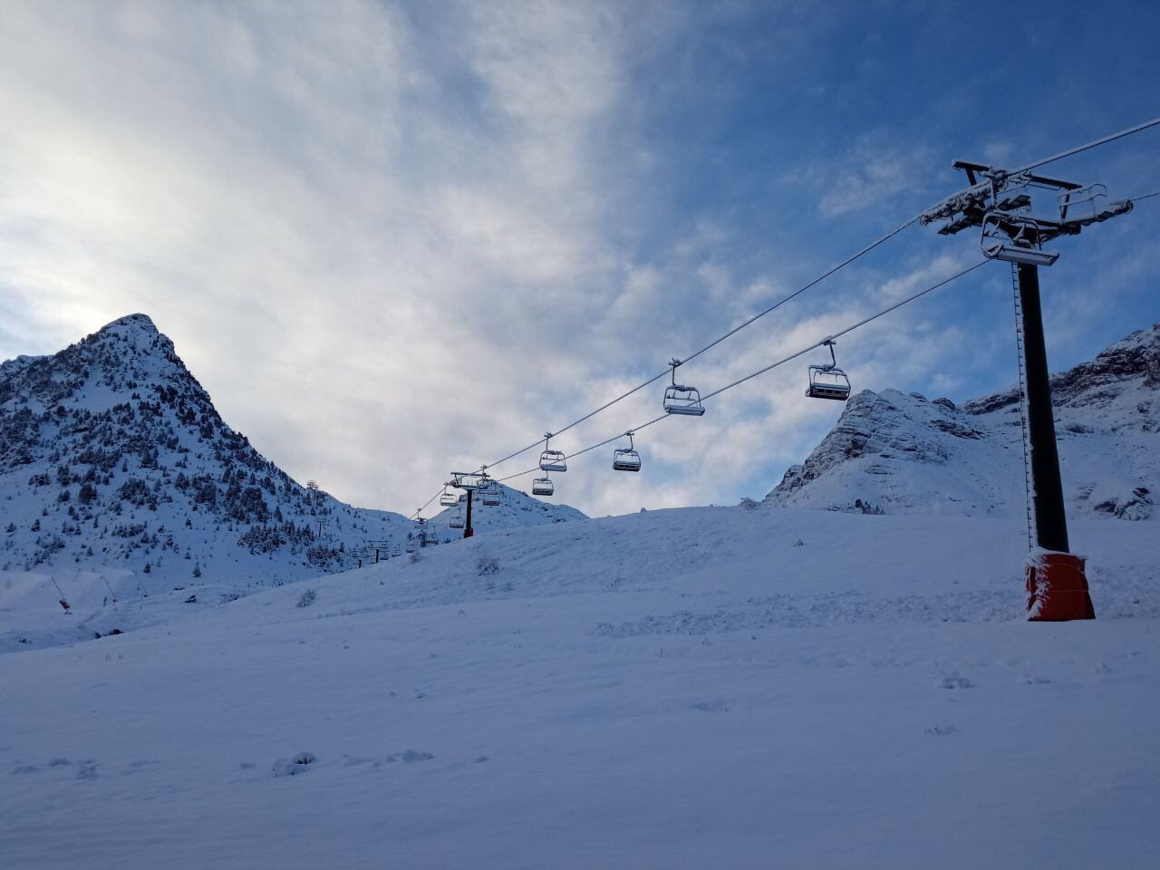 Telesilla en formigal