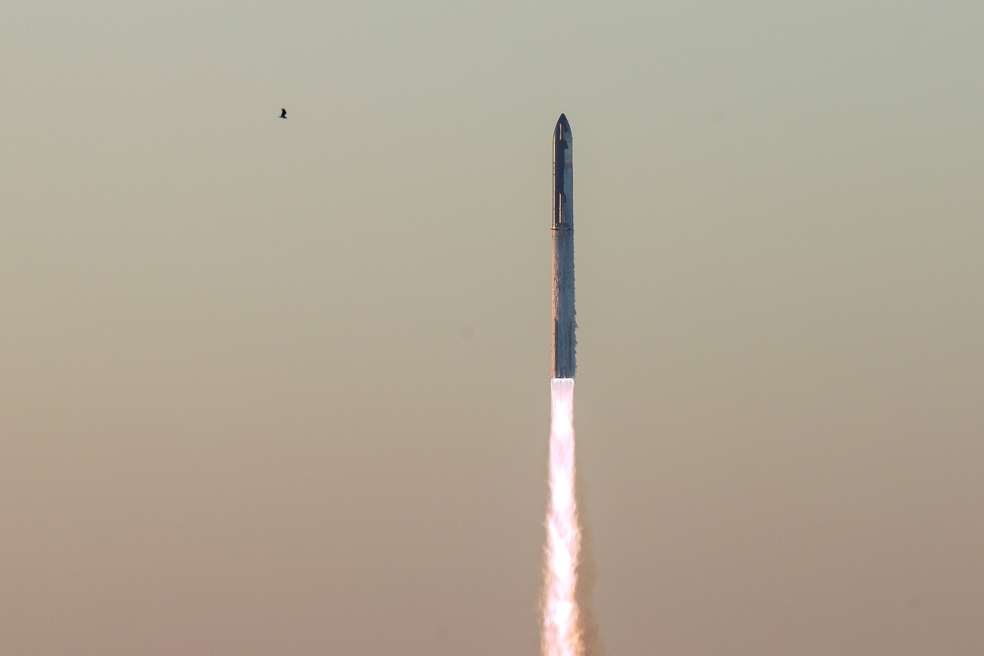 Despegue del cohete Starship desde la base de Boca Chica, Texas, USA. EFE/EPA/ADAM DAVIS