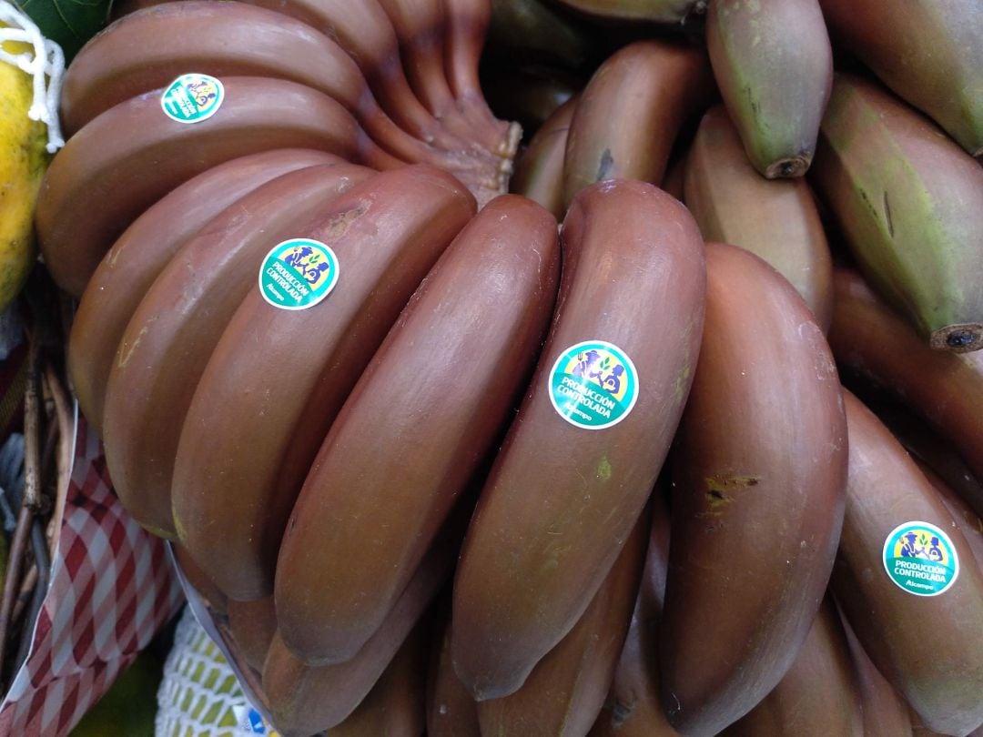 Los supermercados Alcampo han empezado a incorporar plátano rojo a sus lineales.