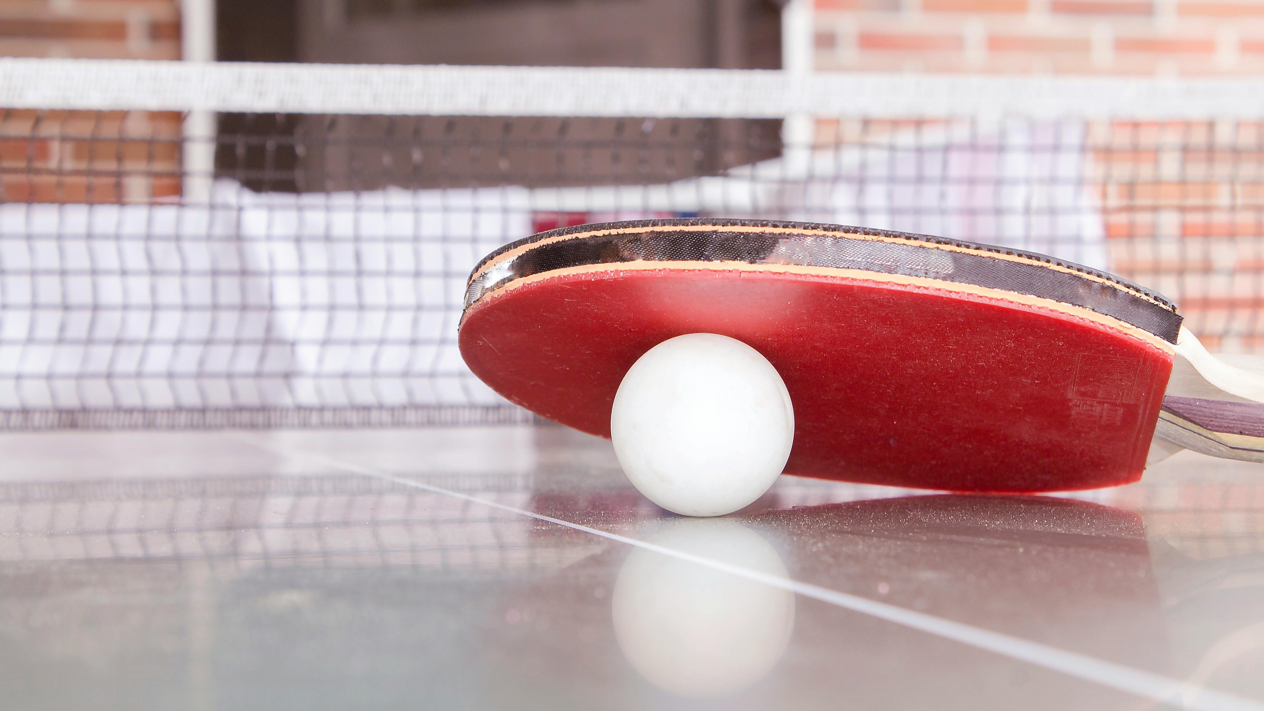 El tenis de mesa se une a la oferta deportiva de las escuelas de Petrer