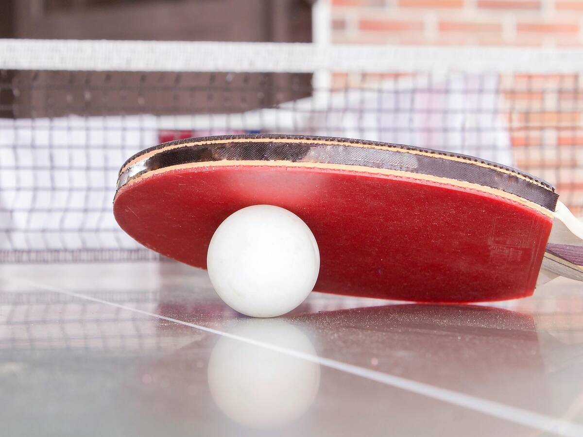 Petrer incorpora la escalada y el tenis de mesa a la oferta de sus escuelas deportivas