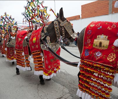 Romería Virgen de las Viñas en Tomelloso