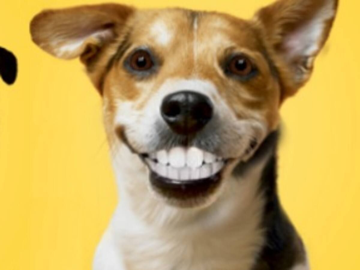 La teletienda, ese vicio inconfesable