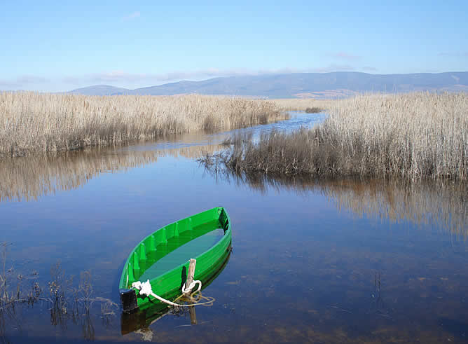 El enclave de Ciudad Real cuenta ya con más de 1.200 hectáreas encharcadas.- Es el último ecosistema de &quot;tabla fluvial&quot;