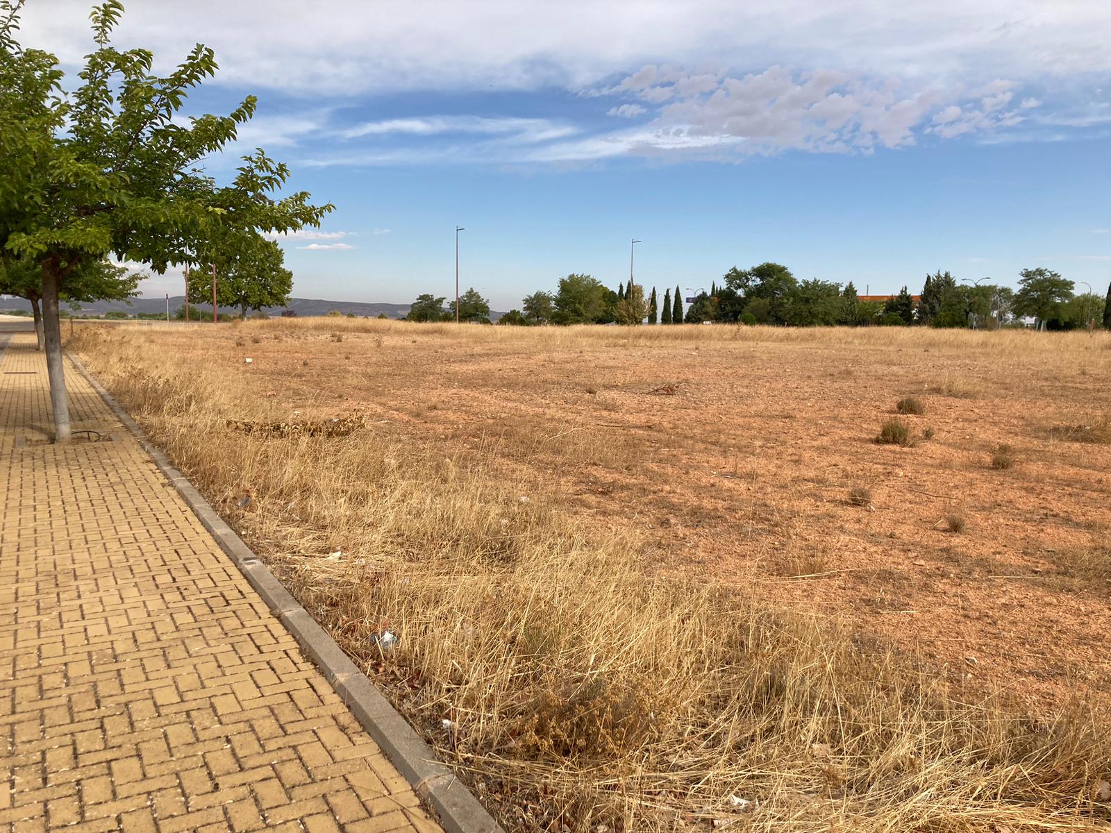 Imagen de las parcelas en donde se ubicará esa importante compañía en el Polígono Entrecaminos de Valdepeñas (Ciudad Real)