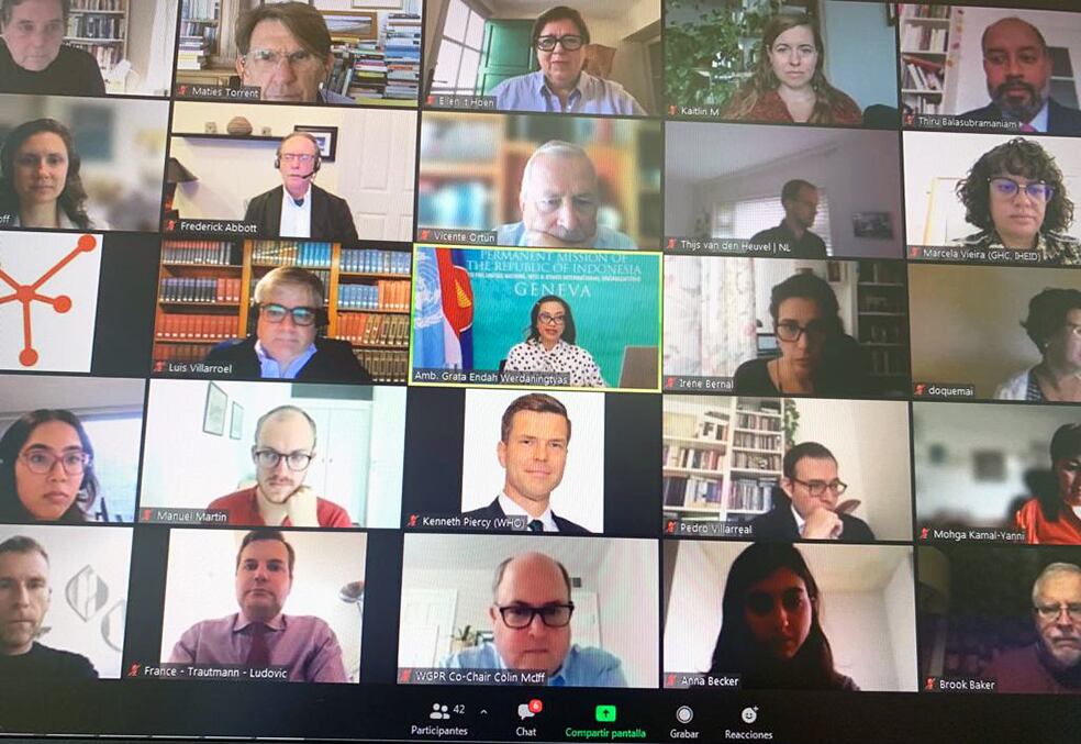 Van impulsar una sèrie de recomenacions que s'han inclòs a l'informe preliminar del tractat de la OMS.