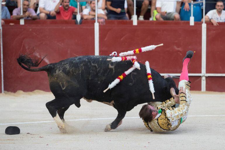 El diestro José Manuel, de Murcia, es cogido de gravedad por su segundo novillo en el tercio de banderillas, hoy en la primera novillada de la Feria de Blanca, en la que se han lidiado cuatro astados de la ganadería de Monteviejo, en la plaza de toros de 