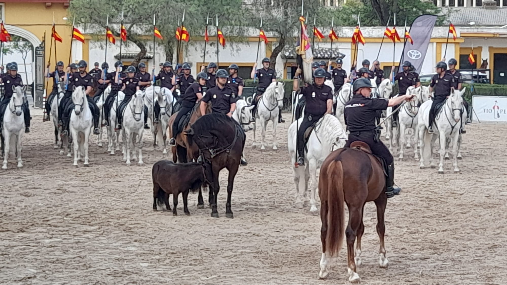 La Unidad Especial de Caballería de la Policía Nacional