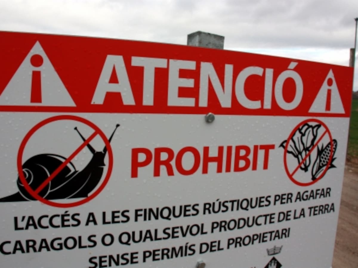 Prohibido coger caracoles bajo multa de 750 euros