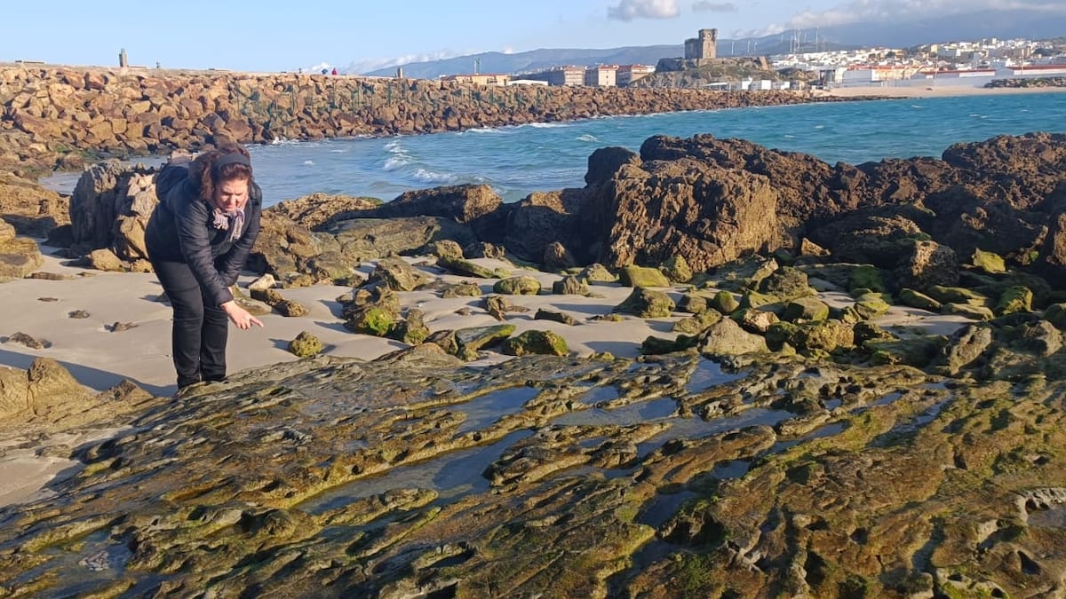 Descubren un yacimiento en Tarifa con huellas de grandes mamíferos africanos