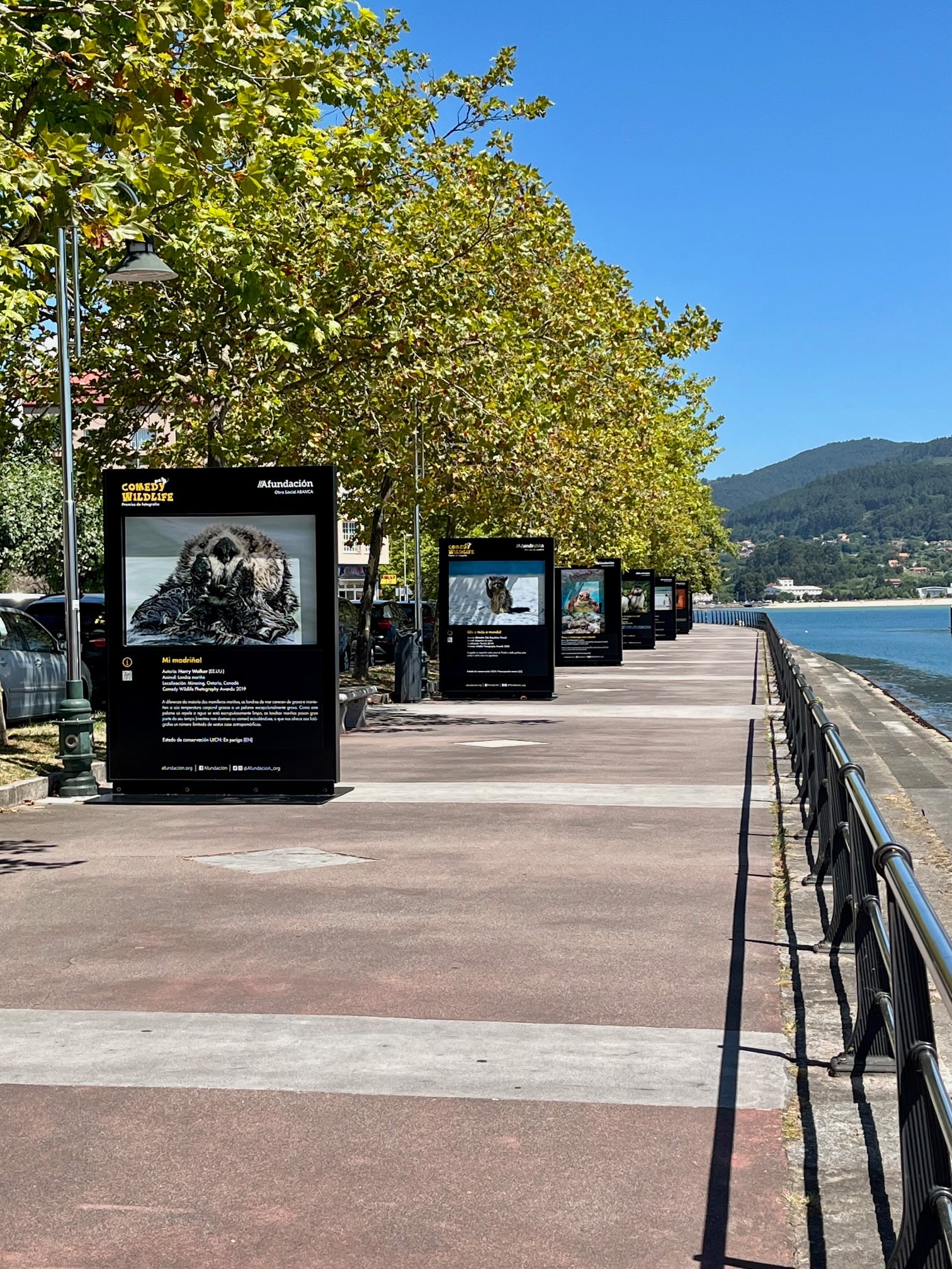 Imagen del Paseo Marítimo de Moaña con la exposición Comedy Wildlife