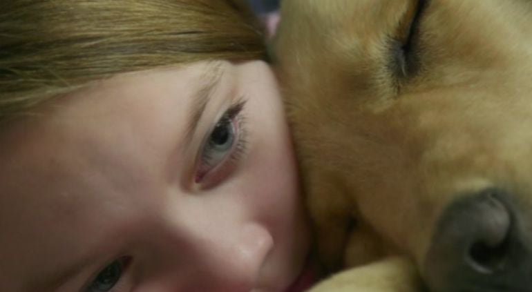 La terapia canina llegará a los niños del centro ASVAI