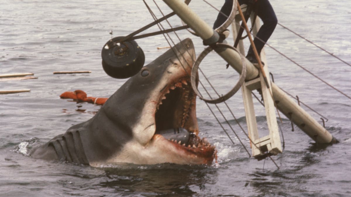 El Accidente que puso en peligro a los actores de Tiburón