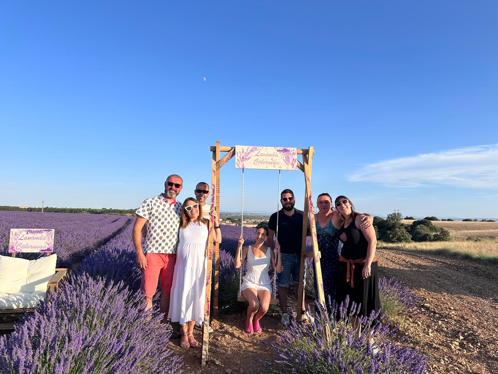 Organización del Lavanda Fest