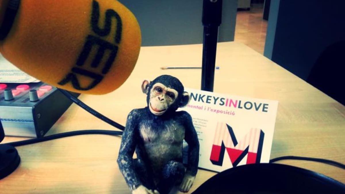 Alvar Calvet: 'Un any després s'ha acomplert l'objectiu de donar visibilitat als artistes'.