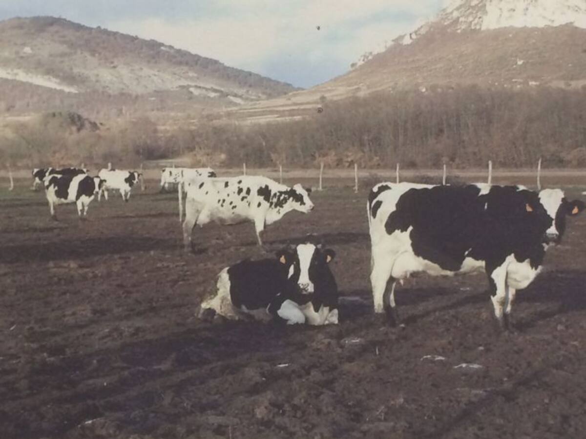 El cambio climático, los transgénicos y el futuro de la agricultura y ganadería centran las jornadas de ASAJA
