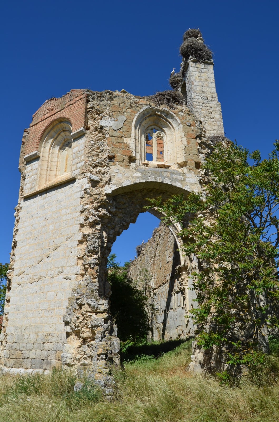 Estado actual de la Cartuja de Aniago, en Villanueva de Duero, Valladolid