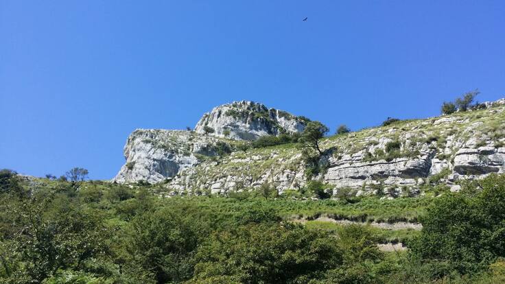 Scout Cerredo. María Toledo (07/10/20)