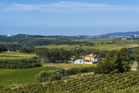 La comarca de l&#039;Alt Penedès.