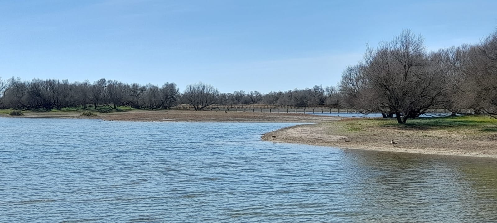 Zona inundada en las Tablas de Daimiel