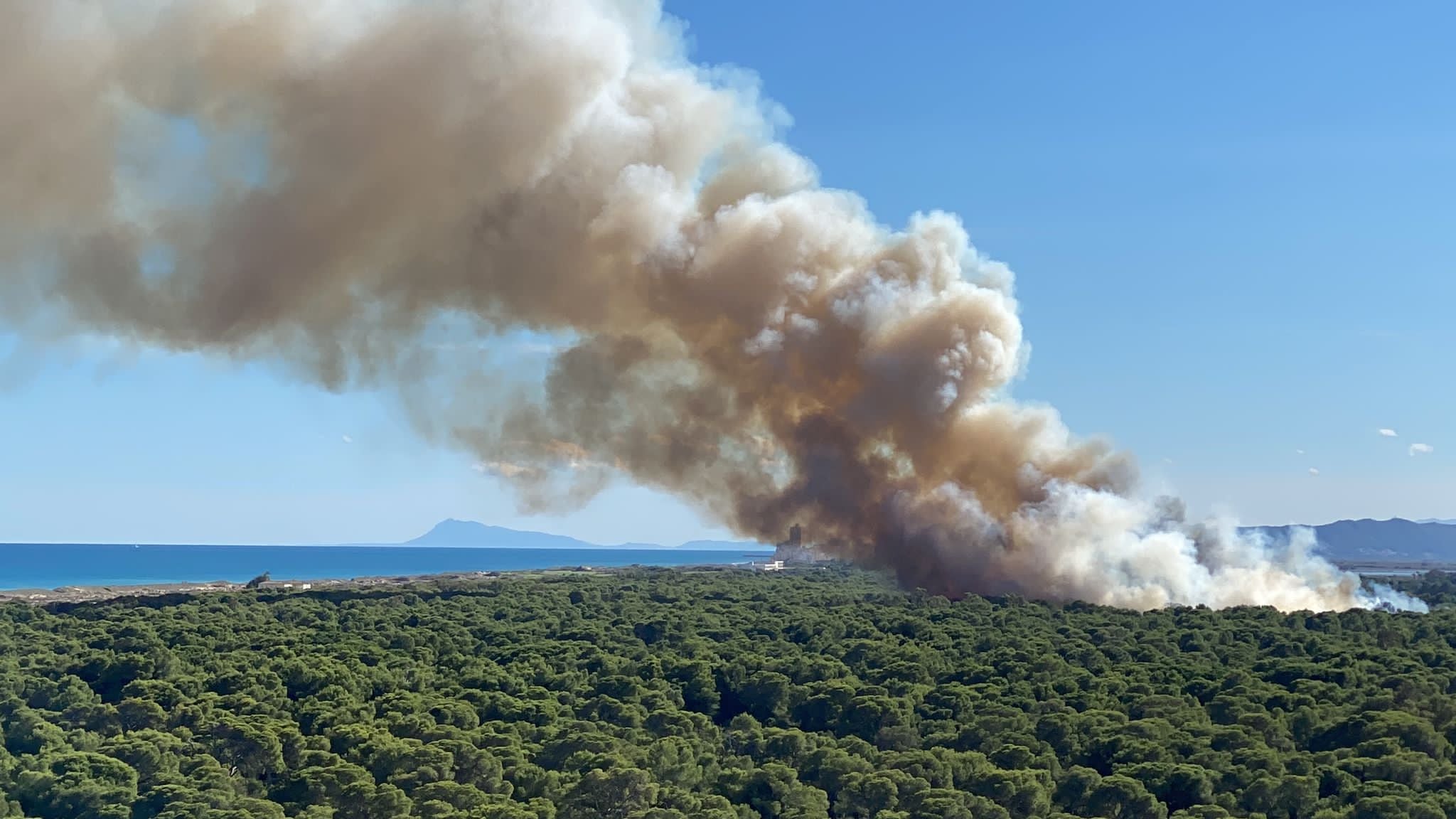 Una gran columna de humo visible en el incendio de la Dehesa del Saler de este fin de semana en València